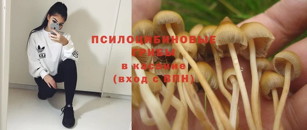таблы Белоозёрский