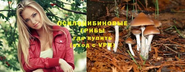 каннабис Белокуриха
