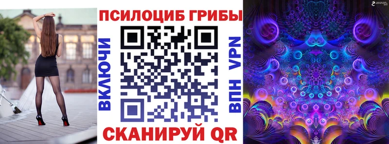 Купить где  Котельники  Псилоцибиновые грибы ЛСД 